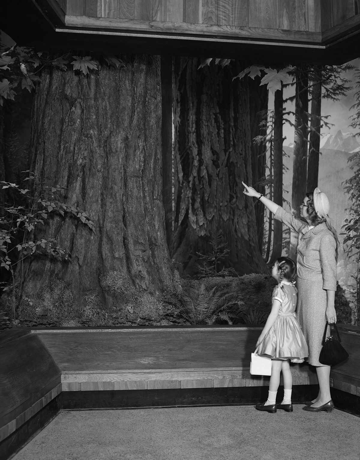 A woman standing with a young girl points to large tree trunks in a nature diorama.
