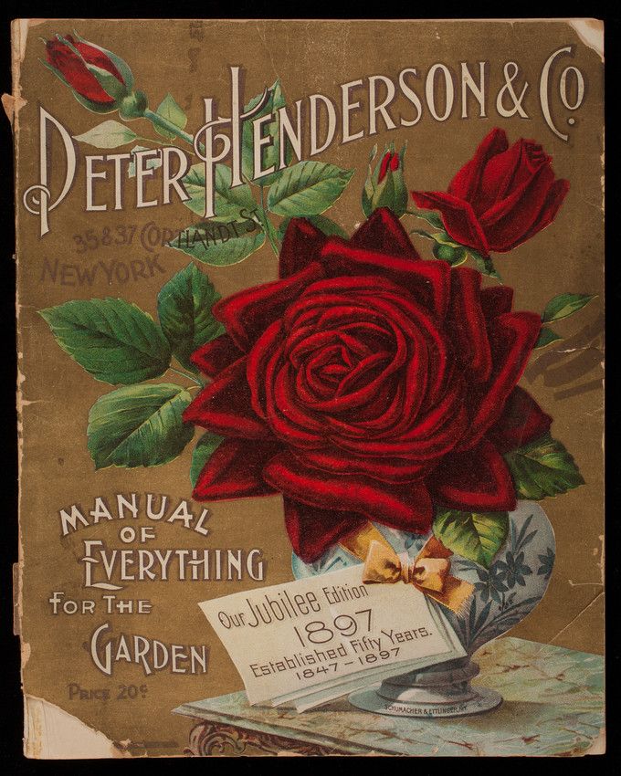 Archival garden catalog featuring an oversized red rose and reading "Peter Henderson and Co. Manual of Everything for the Garden."