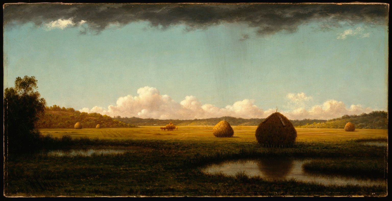 Large bales of hay glow on a patch of sunlit farmland. Clouds shadow some bordering wetlands.