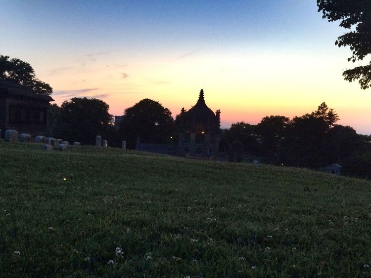 Specks of firefly illumination pepper the grassy expanse of a cemetery at sunset.