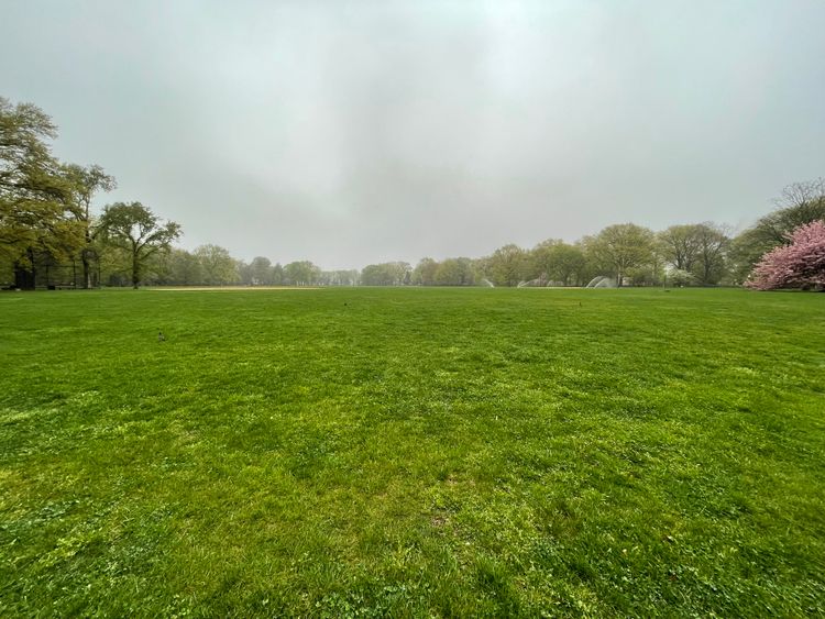 A wide stretch of green dominates the foreground. Birds sit on the field in the distance and sprinklers surrounds the edges.