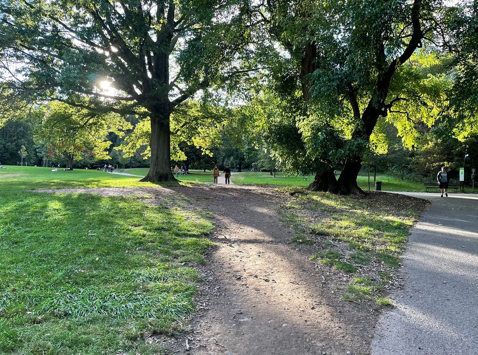 Fall Parks Are Etched with Summer’s Desires