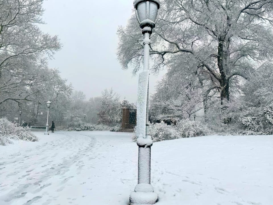 Snow Mutes the City Clamor